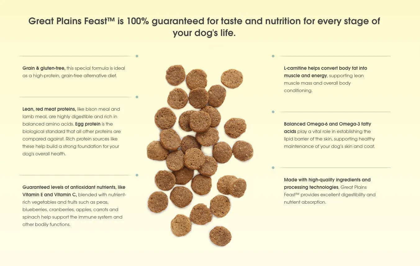 EARTHBORN HOLISTIC GREAT PLAINS FEAST DRY DOG FOOD
