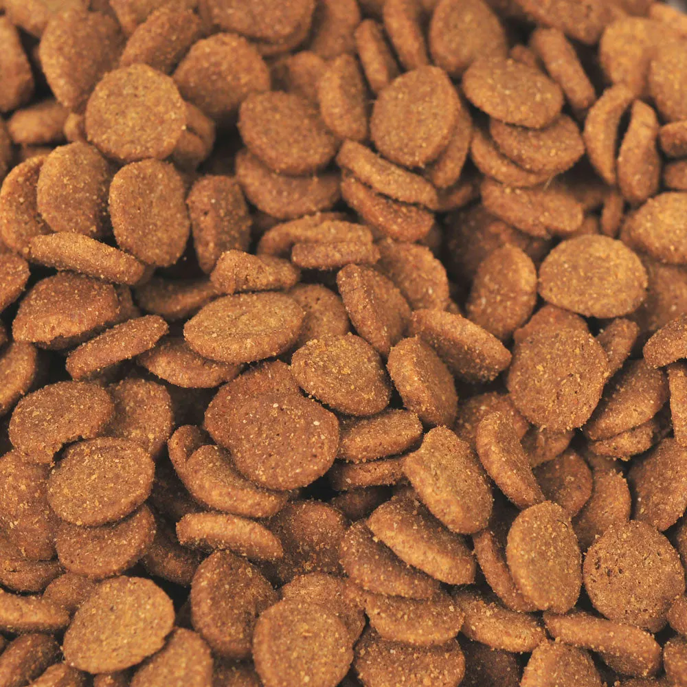 EARTHBORN HOLISTIC GREAT PLAINS FEAST DRY DOG FOOD