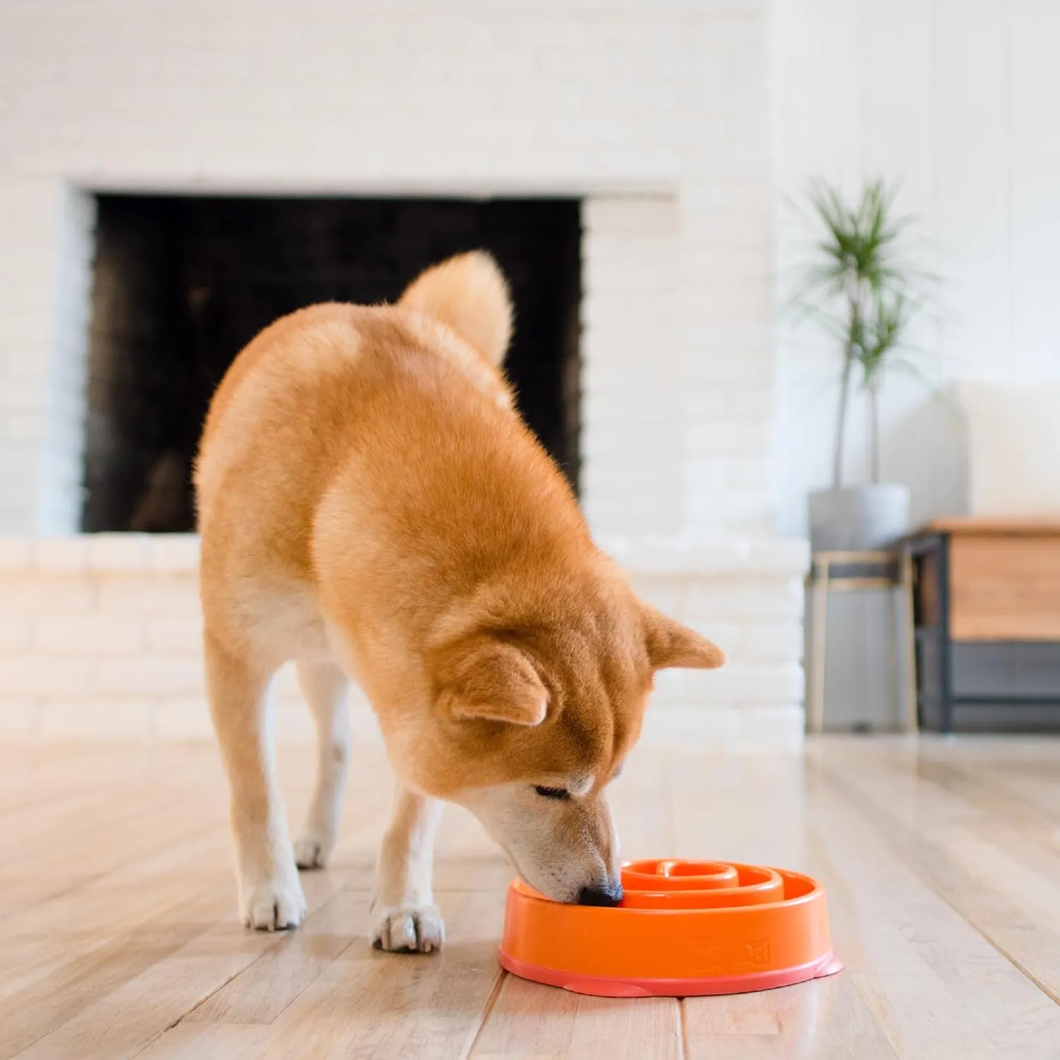 Outward Hound Fun Feeder Slo Bow Slow Feeder Dog Bowl, Orange Swirl